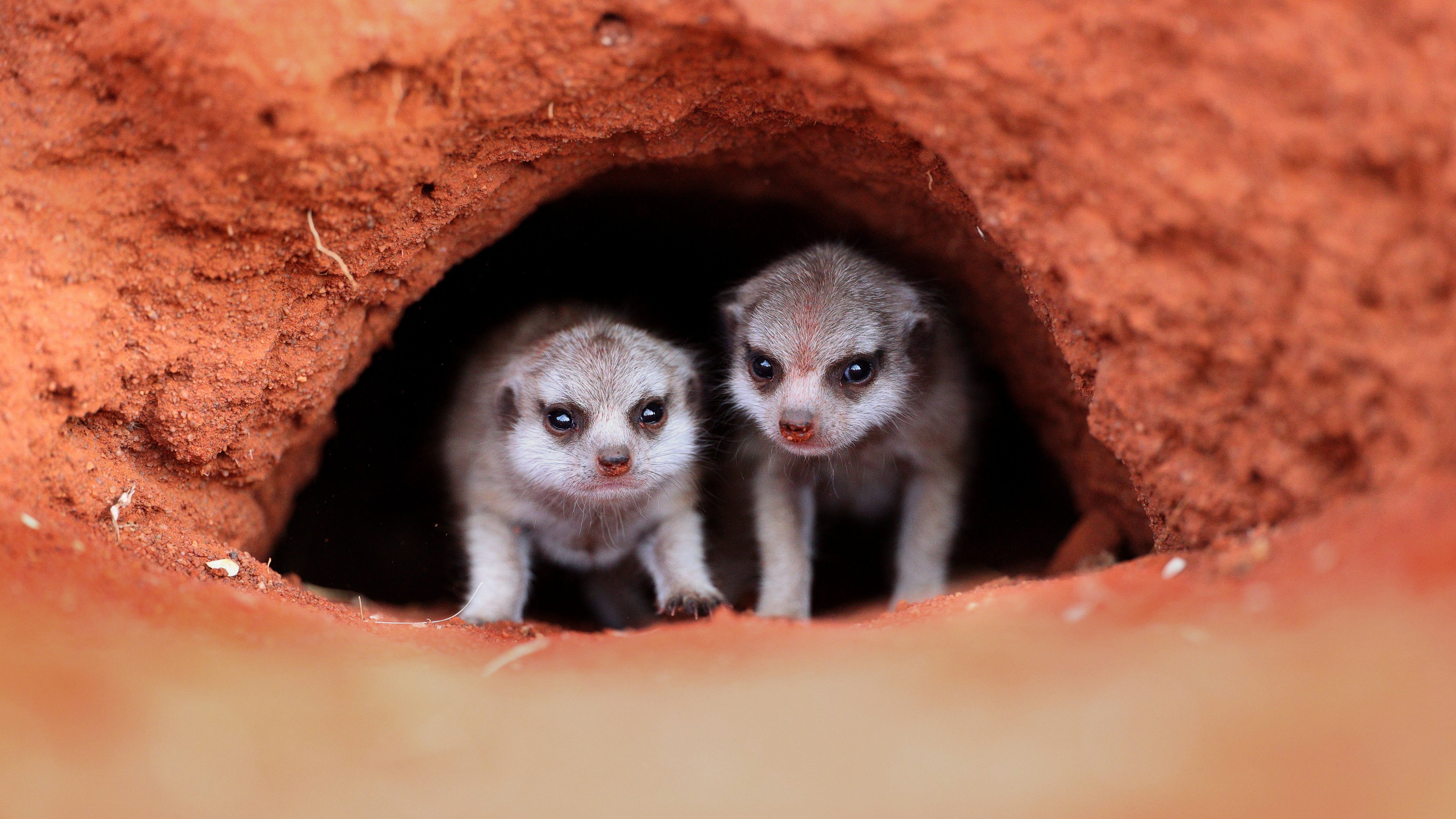 Home Canon Deutschland